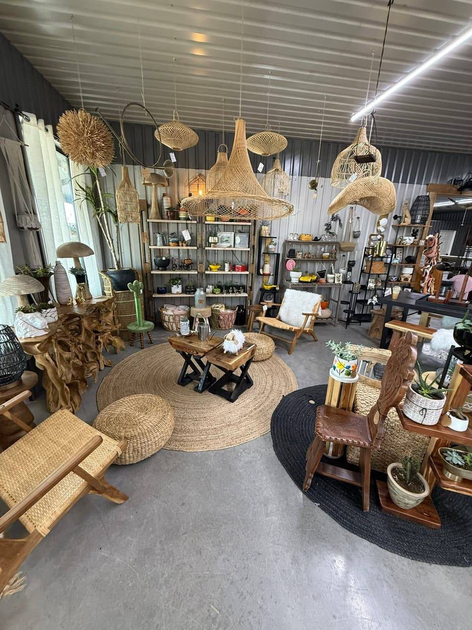 Home decor display with woven rattan pendant lights, teak root tables, jute rugs and potted succulents